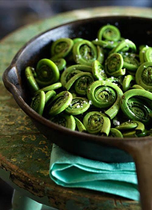 Bowl of fern shoots