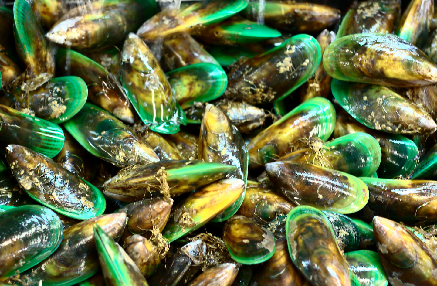 Bunch of muscles