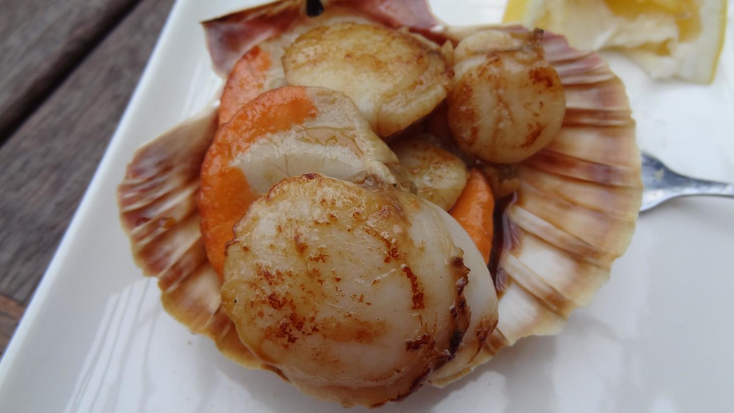 A scallop